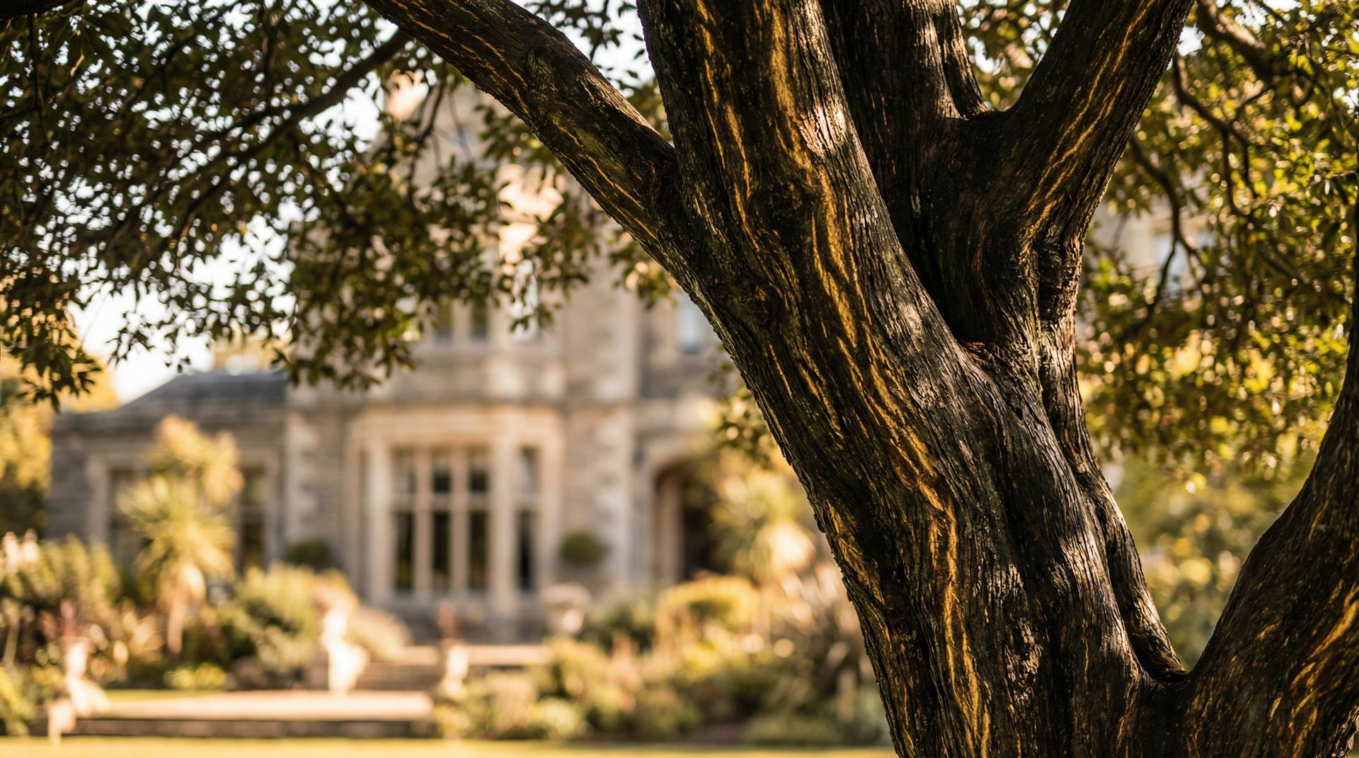 海角社区植物视频展示-珍稀植物